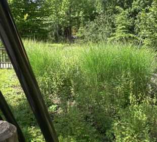 Land der Ritter - Ritterturnier