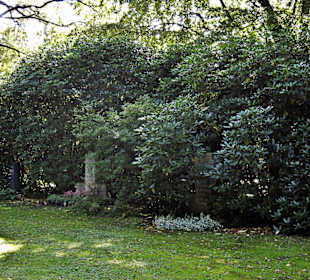 Кладбище Ольсдорф, Гамбург, 16 сентября 2013 года