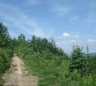 Wisła