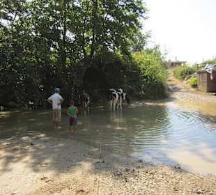 Unimog-Safari Tour vom 08.07.2014