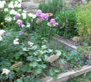 Interkultureller Gemeinschaftsgarten