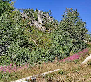 Naturschutzgebiet Großer Pfahl