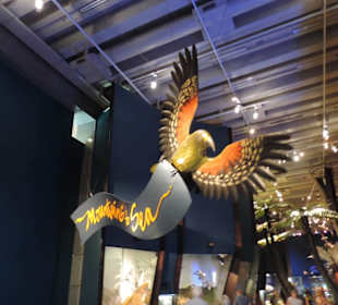 Im Museum