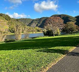 Wandern Bruttig-Fankel