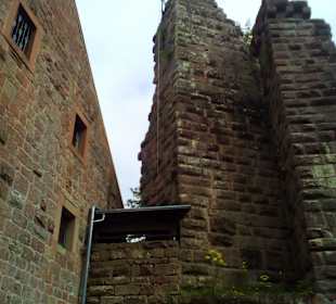 Burg Wilenstein in Trippstadt