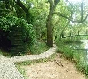 Der Rundweg gabeld sich