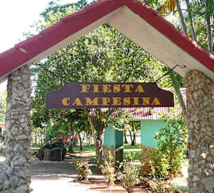 Minizoo an der Autobahn