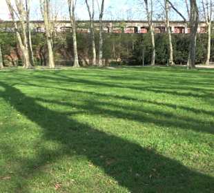 Unterer Schlossgarten Stuttgart