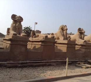 Tagesausflug nach Luxor Makadi Bay - Luxor Tempel