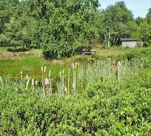 Eindrücke vom Moorpfad in Tarmstedt