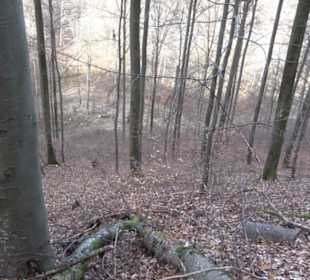 Wasserfallsteig