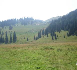 Parcul Natural Apuseni