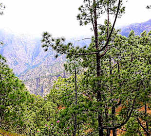 Traumhafte Landschaft