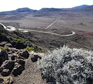 Impressionen aus der Plaine des Sables