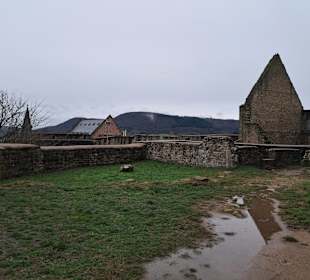 Burgruine Lichtenberg Thallichtenberg