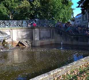 Altstadt Brühlsche Terrasse