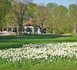 Impressionen vom Spaziergang durch den Kurpark