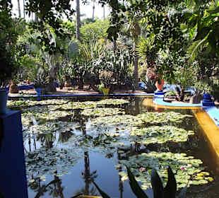Impressionen aus Majorelle