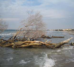 Strandwanderung Horizon Beach nach Mastichari