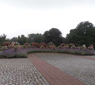 Rosenfest im Westfalenpark in Dortmund