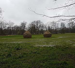 Wandern Burg (Spreewald)