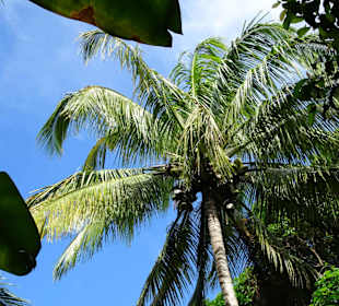 Rundgang durch den Duft- und Gewürzgarten