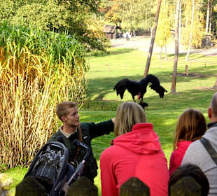 Wildparkimpressionen