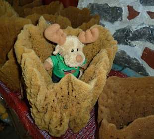 Gut für die zarte Haut: Naturschwamm 