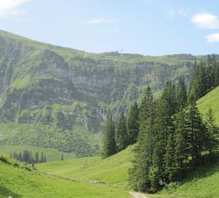 Die Seele baumeln lassen