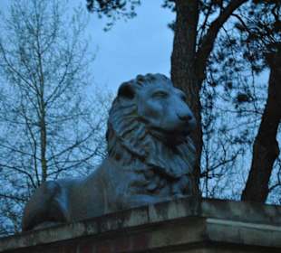 Mausoleum Raczyńskich - lew 