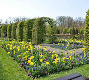 Парк Кекенхоф в Голандии