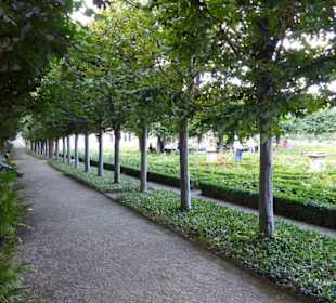 Ros06 - klare Wege
