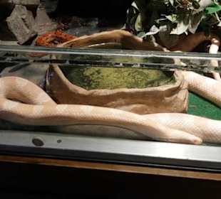 Exotarium