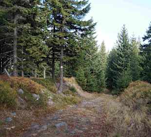 Riesengebirge/Karkonosze