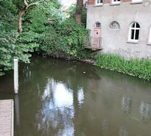 Travearrn Zufluß zur Mühle