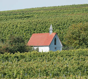 Blick zur Kapelle der Heiligen Familie im Weinberg
