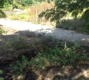 Botanischer Garten München