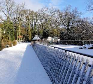 Das Tiergehege des Bürgerparks im Winter