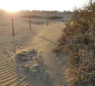 Strand Playa del Ingles