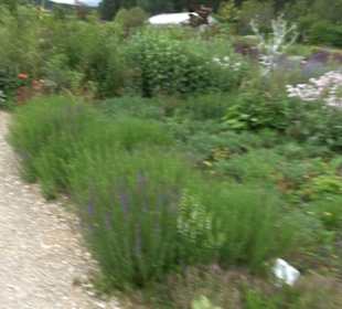 ALB-GOLD Naturgarten