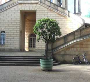 Belvedere am Klausberg