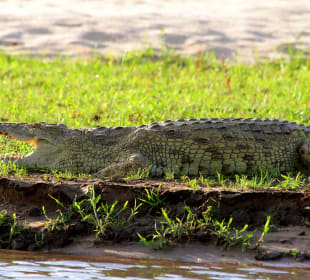 Bootstour Africa Safari Selous