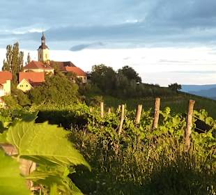 Die Ortskirche in mitten der Weingärten