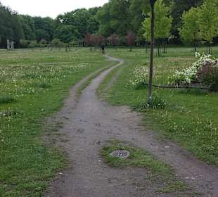 Park