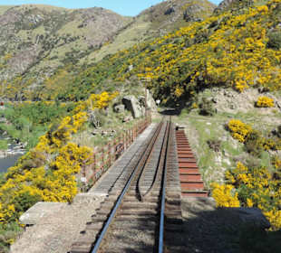 Mit der Taieri Railway durch die Natur Neuselands