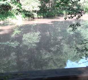 Rundwanderung Klingenbachtal - Sulzbachsee