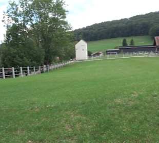 Haupt- und Landgestüt Marbach