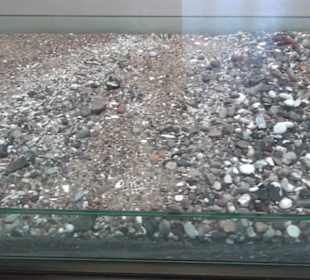 Meeresmuseum Stralsund