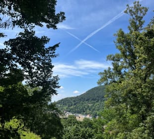 Altstadt Heidelberg