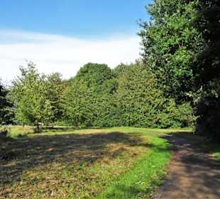 Rundgang durch den Landschaftspark Mühlenhunte